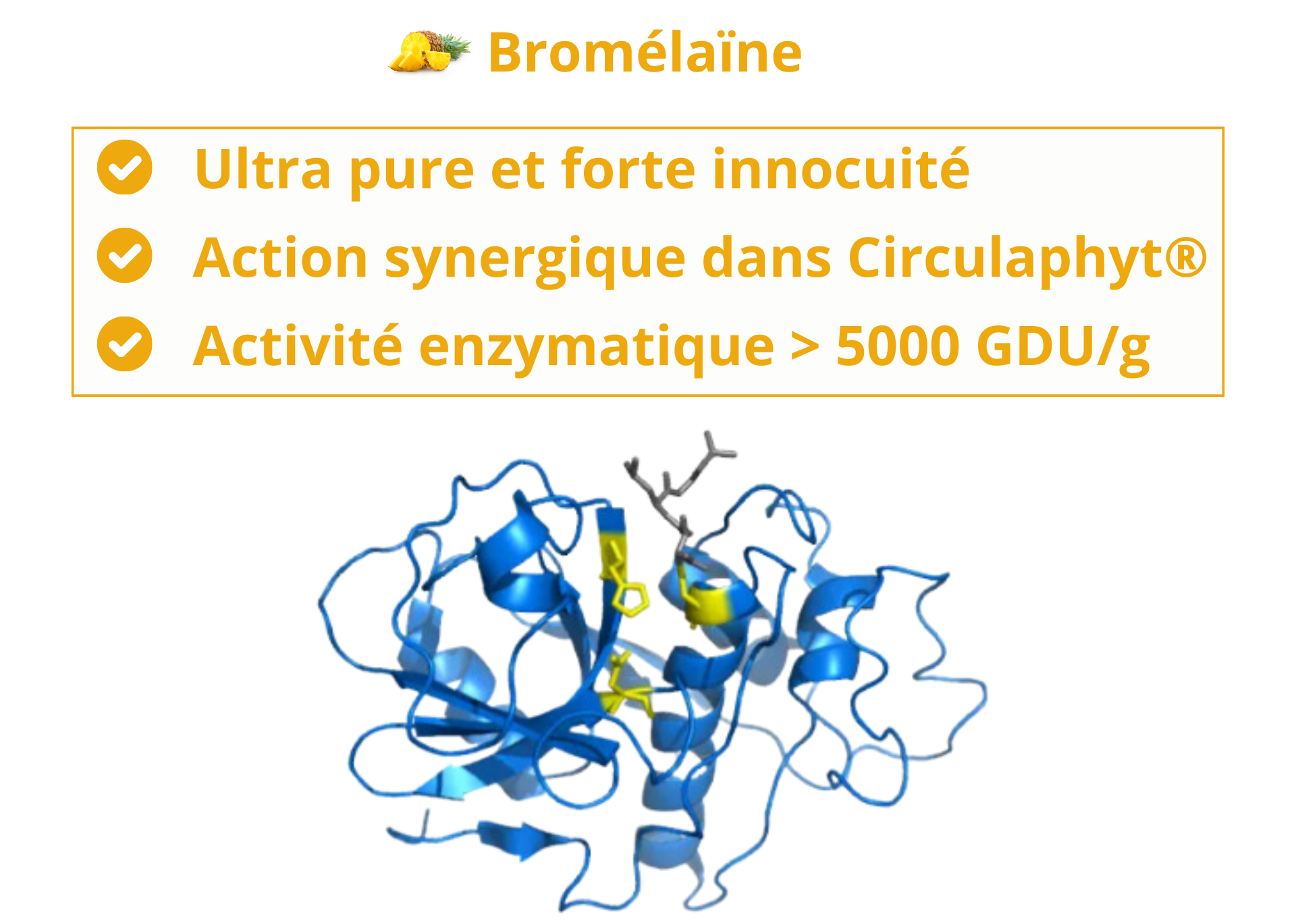 bromélaine nutrixeal qualité premium et très haute activité enzymatique