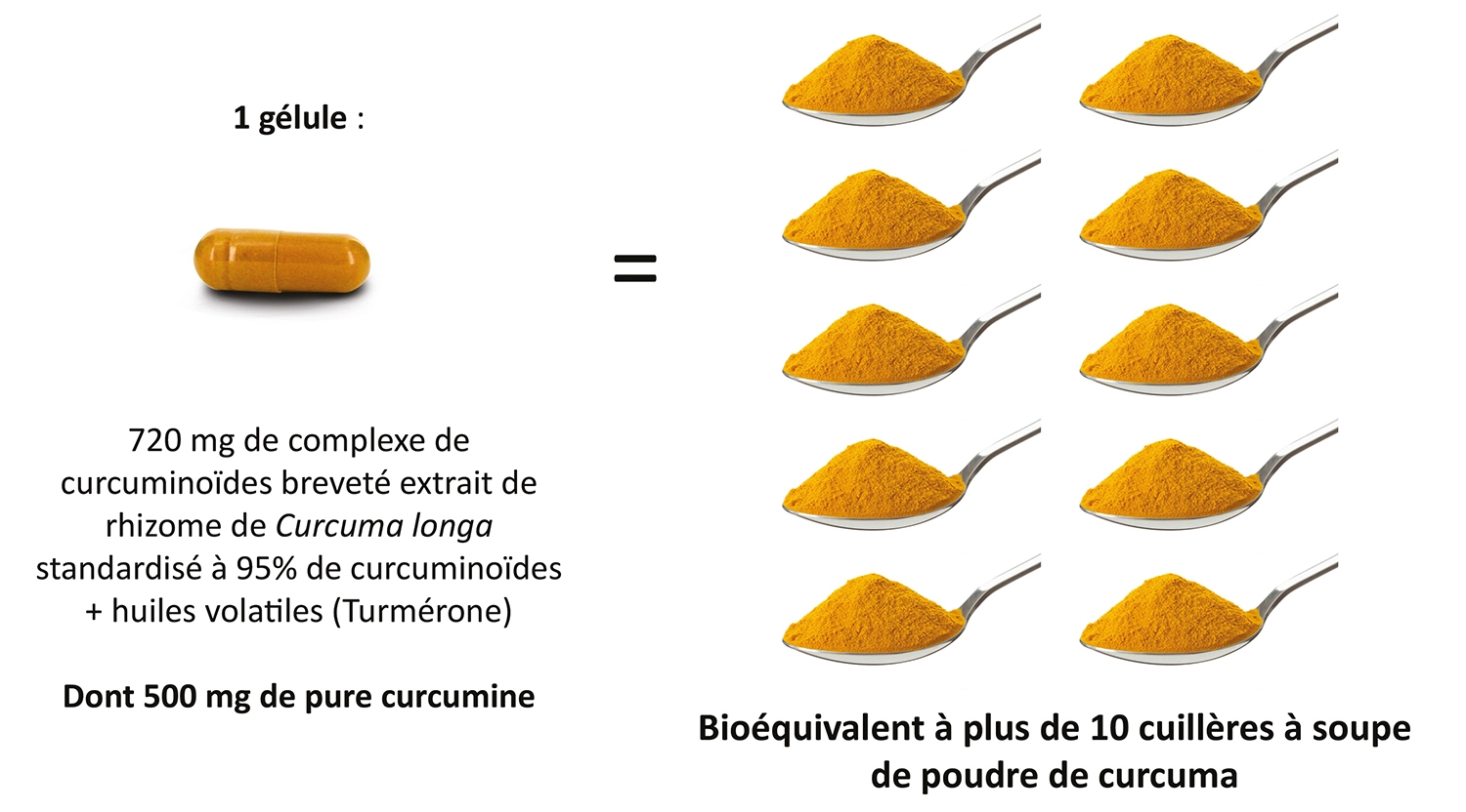 Curcumine 95, Extrait de curcuma, 500 mg, 60 capsules végétariennes
