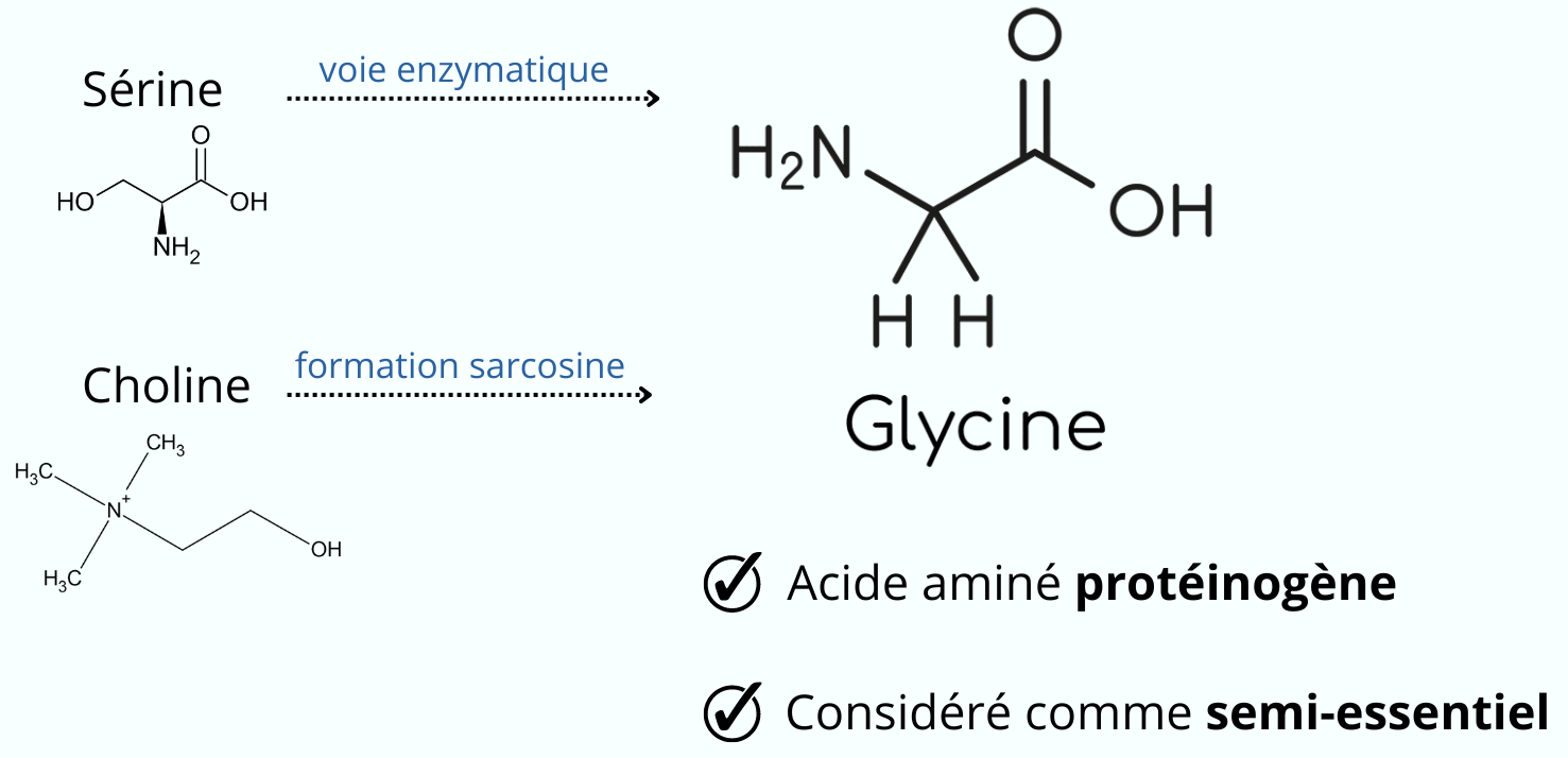 Schéma moléculaire de la glycine