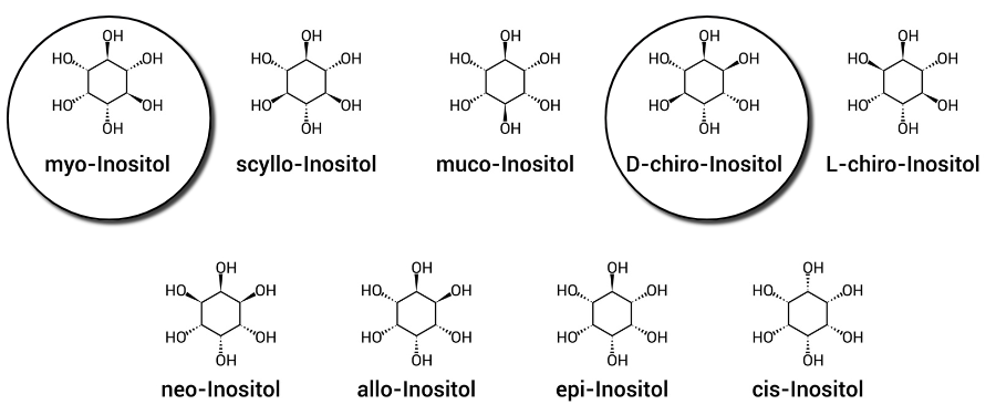 structures moléculaires de Myo-Inositol et D-Chiro-Inositol