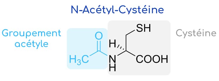 Structure moléculaire de la N-acétylcystéine NAC