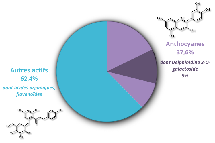 Notre analyse interne - qualité supérieure de cet extrait