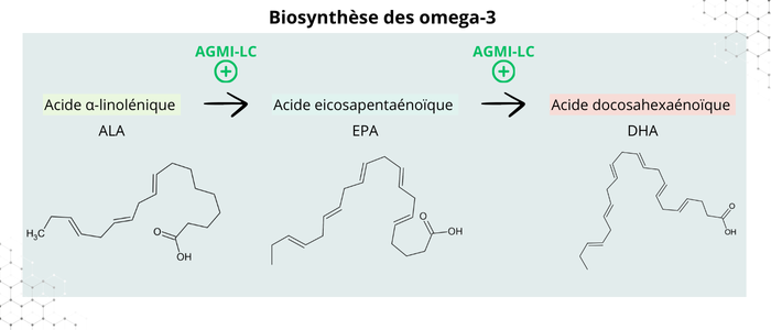 Biosynthèse des omega-3