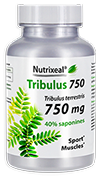 Tribulus terrestris 750 mg : 40% saponines, en gélules