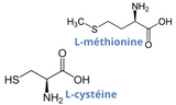 Acides aminés soufrés