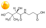 Vitamine B5