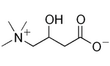 L-Carnitine