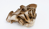 Maitake