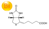 Vitamine B8