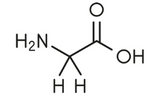 Glycine