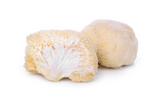 Hericium erinaceus