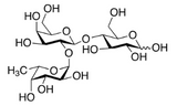 2'-Fucosyllactose