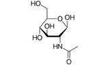 N-Acétyl Glucosamine