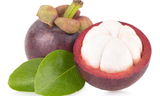 Garcinia cambogia